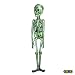 Mr. Green Skeleton Decoration ~ Halloween Skeleton Decorations & Props