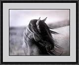Fierce Grace by Tony Stromberg - Framed Artwork