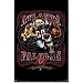 Atlanta Falcons Team Mascot NFL Art Poster Print 22x34