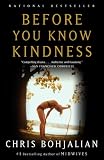 Before You Know Kindness (Vintage Contemporaries)