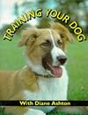 Training Your Dog