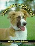 Training Your Dog