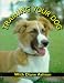 Training Your Dog