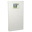 Sealy Soybean Foam Crib Mattress
