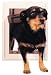 Kitchen & Housewares : White Freedom Pet Door - Medium