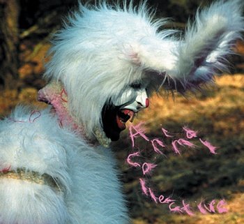 Animal Collective Picture 11