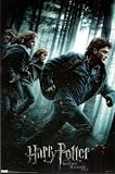 Harry Potter and the Deathly Hallows Part I Movie One Sheet Group Poster Print - 56x86 cm