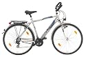 Texo Herren Fahrrad Trekking Alu, 21 Gang, stratosilber, Rahmenhöhe: 53 cm, Reifengröße: 28 Zoll (71,1 cm), 21110-0948275
