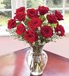 One Dozen Long Stemmed Premium Red Roses