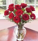 One Dozen Red Roses