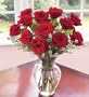 One Dozen Long Stemmed Premium Red Roses