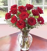One Dozen Long Stemmed Premium Red Roses