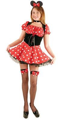 Little Miss Mouse Sexy Costume