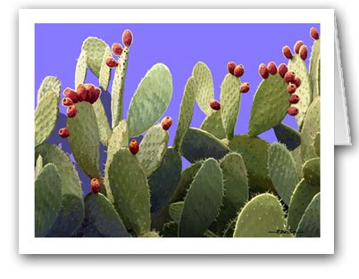 Stonehouse Collection | Prickly Pear Fruit Note Card | Southwest Home Note Cards | Desert Cactus Fruit (Prickly Pear)