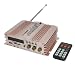 DC 12V 5A 3 in 1 SD FM Radio USB Audio Power Amplifier 600W RS.5649.00