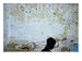 Boy Passing by Wall, Tozeur, Tunisia Photographic Poster Print by Martin Llad�, 16x12