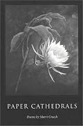 Paper Cathedrals: Poems (Wick Poetry First Book Series)