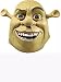 Shrek Deluxe Adult Mask