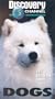 The Ultimate Guide - Dogs [VHS]