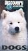 Price Comparison : The Ultimate Guide - Dogs