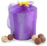 Hand Painted Box 36 Assorted Mini Truffles