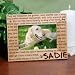 Til' the End Pet Memorial Wood Picture Frame