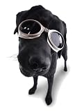 Doggles Originalz Small Black/Smoke