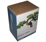 Toys : Grow it - Bonsai