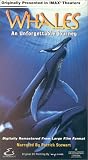 Whales - An Unforgettable Journey (Large Format)