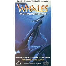 Whales: An Unforgettable Journey [VHS]