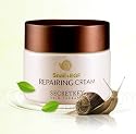 TVで話題沸騰!! シークレットキー Snail+EGF配合 カタツムリ クリーム 50ml