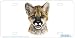 Cougar Cub - Panther/Cougar Big Cat - Wildlife Decor Art Print - License Plate Tag By...