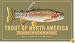 Trout of North America Calendar 2009 (Wall Calendars)
