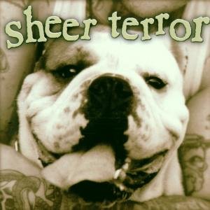 CD-Charts  Search : Bulldog Edition
