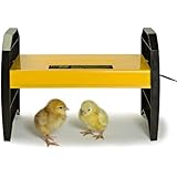 Brinsea EcoGlow Brooder for Chicks or Ducklings