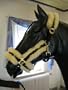 nylon halter SOFTY Deluxe PonySize with real sheepskin padding