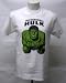 Search : Incredible Hulk T-Shirt Adult Medium