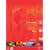 Coffret Wong Kar Wai 4 DVD : Nos ann�es sauvages / Happy Together / Les Anges D�chus / Chungking Express