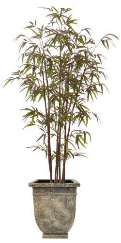 8FT BAMBOO TREE/2PC