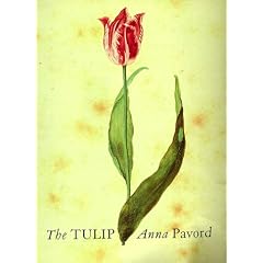 The Tulip