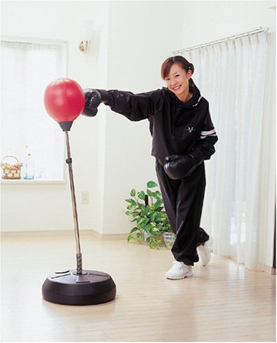 Cover image : パンチングボールセット