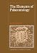 The Elements of Palaeontology