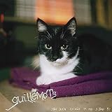 D�tails sur le produit