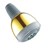 Hansgrohe 28447-PB Polished Brass Selecta Showerhead