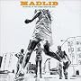 Madlib Presents Blunted in the Bomb Shelter