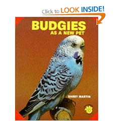 Budgies as a New Pet