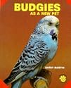 Budgies as a New Pet