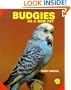 Budgies: As a New Pet