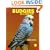 Budgies as a New Pet