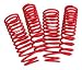 Skunk2 (519-07-1935) Lowering Springs - Sedan - 1.3F - 1.1R